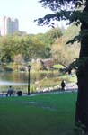 centralpark05