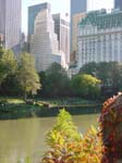 centralpark09