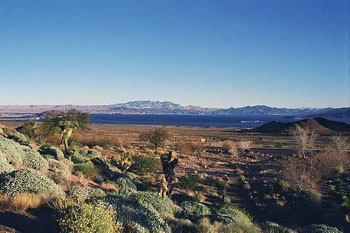 tgc8_24lakemead