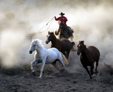 The Chase 